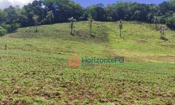 Imagem 2: Chácara, 9.3 Alqueires à venda, por R$ 750.000,00. Candói - PR