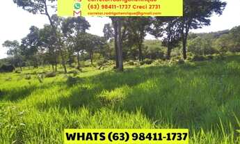 Imagem 5: Fazenda 474,32 hectares Centenário