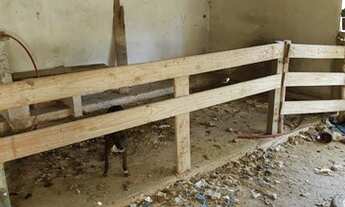 Imagem 5: Fazenda/Sítio/Chácara para venda tem 250 metros quadrados com 5 quartos