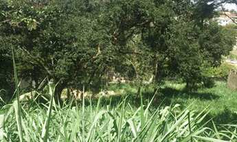 Imagem 2: LOTE DE 1.000M² NO BAIRRO BANDEIRANTES, RUA EXCELENTE, POR APENAS R$ 699.000,00