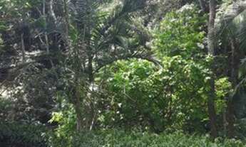 Imagem 3: Embu Condomínio do Bosque, casa com 4 dormitórios sendo 1 suíte,3 salas,útil de 400m²