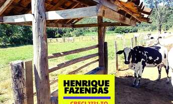 Imagem 5: Fazenda Porto Nacional no Tocantins