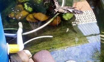 Imagem 2: Casa Assobradada À Venda Na Vl. Campesina, Osasco Com 3 Dormitorios e 2 Vagas, Proximo A P