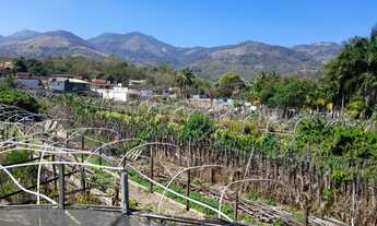 Imagem 3: Terreno amplo Fazenda / sítio com venda por R$6.000.000