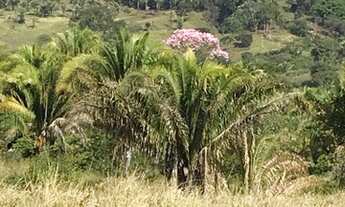 Imagem 4: Sítio para venda com 580800 m2 Municipio de Corumbá Goiás