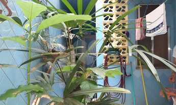 Imagem 5: Apartamento - 02 quartos - Méier [ME