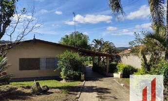 Imagem: CHACRA DENTRO DA CIDADE