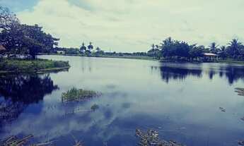 Imagem 6: Vendo Terreno Na Pindoretama Com 20 Hectares E Açude Dentro Vem Terreno Muito Bom. desde j