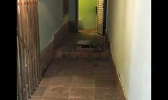 Imagem 4: Casa para alugar iguana grande