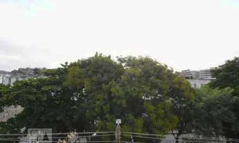 Imagem 5: Apartamento para Aluguel - Olaria, 3 Quartos, 118 m2