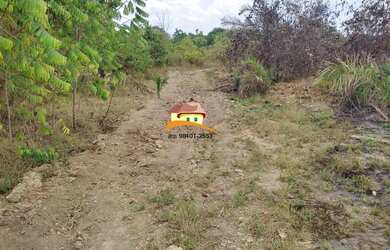 Imagem 7: Fazenda para Venda em Palmas, Região produtora consolidada