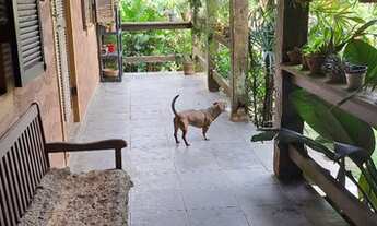 Imagem 4: Casa em Maresias, São Sebastião, SP