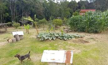 Imagem 4: Vende-se chácara documentada em Mandirituba/PR