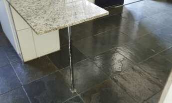 Imagem 3: Pequena moradia no salgado filho, sem animais