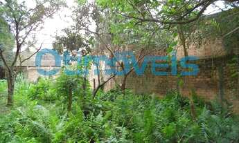 Imagem 4: CURITIBA - Terreno Padrão - SÃO FRANCISCO