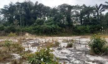 Imagem 2: Vendo 2 lotes 10x50mt cada