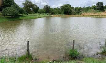 Imagem 6: ÁREA - RODOVIA GO, URUAÇU/GO