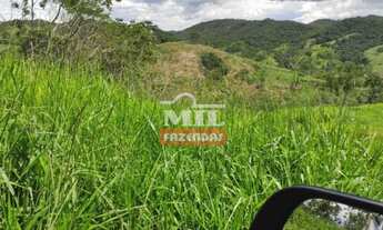 Imagem 3: Fazenda de 100 alqueires (484 hectares) em Pires do Rio - GO