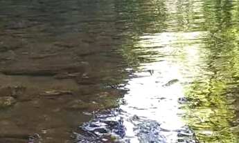 Imagem: Sitio Com Cachoeira em Silveiras