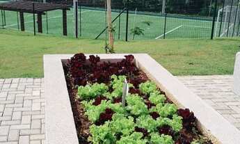 Imagem 4: Lote Jardins Versalhes