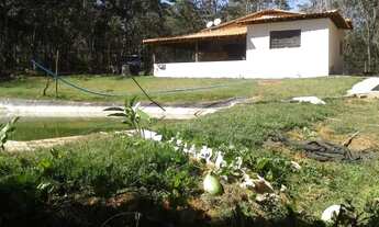 Imagem 7: Sítio de 5.000, duas casas, poço de peixe, rio e um córrego, Serra do Cipó