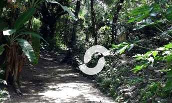 Imagem 10: Terreno à venda, 9488 m² por R$ 650.000,00 - Mata Paca - Niterói/RJ