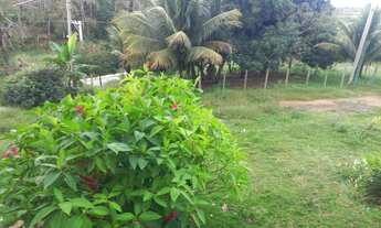 Imagem 7: Aceito carta de crédito- Lotes Comerciais em frente es 477,Amarelos, entroncamento leia