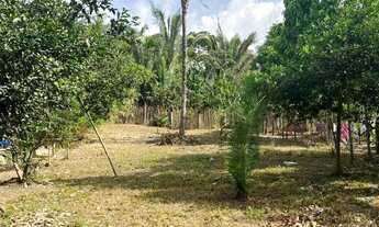 Imagem: Vendo Terreno Grande -(área verde