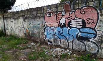 Imagem 5: ÓTIMO TERRENO COMERCIAL/RESIDENCIAL 13 metros de frente plano