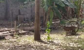 Imagem: Vendo Terreno Vila Guimaraes - 484,75mt