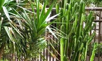 Imagem 4: APARTAMENTO EM BOTAFOGO / 83 M2 / 2 QUARTOS (SUITE) / VARANDÃO / GARAGEM / DEPENDÊNCIA / P