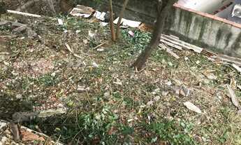 Imagem 3: Ótimo terreno 790 m2 3 lotes p/9 sobrados Butantã p metro v Sônia