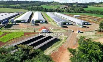Imagem 2: Chácara em Rua Santo Antônio, 544 - Centro - São Miguel do Iguaçu/PR