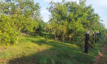 Imagem 3: Vende-se chácara na vila sadia