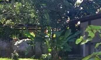 Imagem: Terreno com viabilidades para prédio comercial!