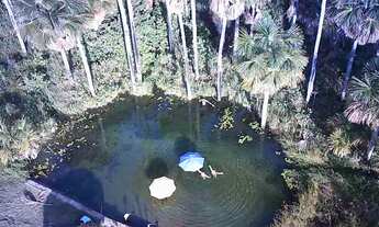 Imagem: Vendo Chácara