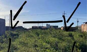 Imagem 2: Lote Conviver Barrerinhas