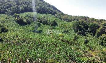 Imagem 5: Terreno de 2 alqueires à Venda em Laje das Pedras, Guarapari/ES - Produção de Banana, Água