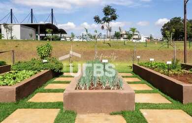 Imagem 10: Lote no Jardins França