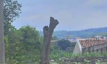 Imagem 3: TERRENO - VILA SONIA - SP