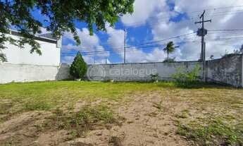 Imagem 5: ÁREA COMERCIAL NA TOMAZ LANDIM