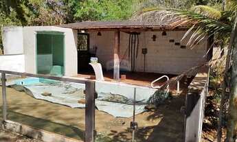 Imagem 2: Belissima chacara a 8km de Igarapava - SP com 44000 m2 de área