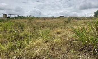 Imagem 4: Terreno chachara