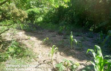 Imagem 7: Sítio a venda Chácara com venda por R$115.000