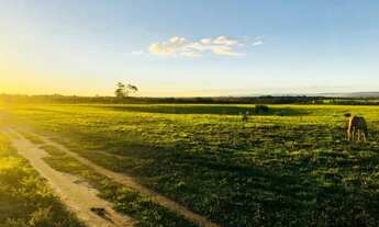 Imagem 6: Residencial Colina do Sul, na Goiabeira (região do Capinal