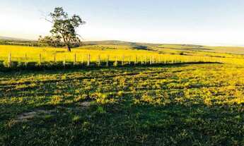 Imagem 5: Residencial Colina do Sul, na Goiabeira (região do Capinal
