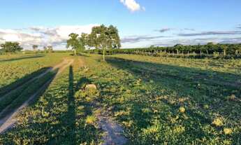Imagem 4: Residencial Colina do Sul, na Goiabeira (região do Capinal