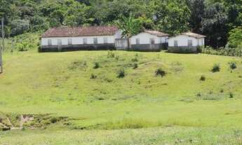 Imagem: Vendo fazenda produtiva, Rod. Ilhéus-Itabuna
