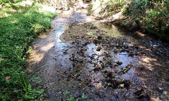 Imagem 4: Chácara com local para lago casa simples