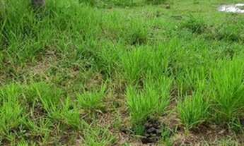 Imagem 6: Chácara para Venda em Rio das Ostras, Cantagalo